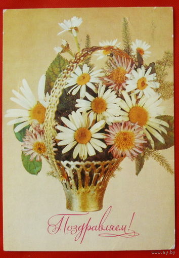 Поздравляем! Подписанная. 1984 года. Дергилева. # 110.