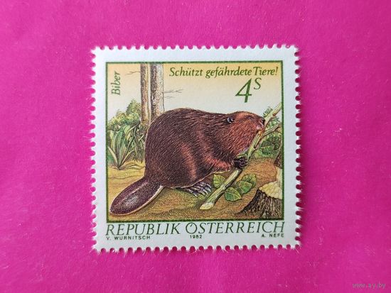 Австрия. Бобёр. ( 1 марка ) 1982 года. 6-8.