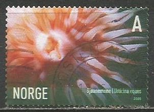 Норвегия. Коралловый полип. 2005г. Mi#1545.