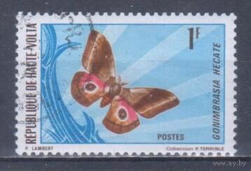 [1453] Верхняя Вольта 1971. Фауна.Бабочка. Гашеная марка.