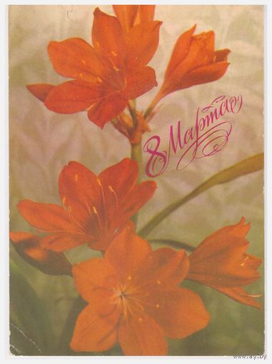 Почтовая карточка 1988 Фото А. Геодакова