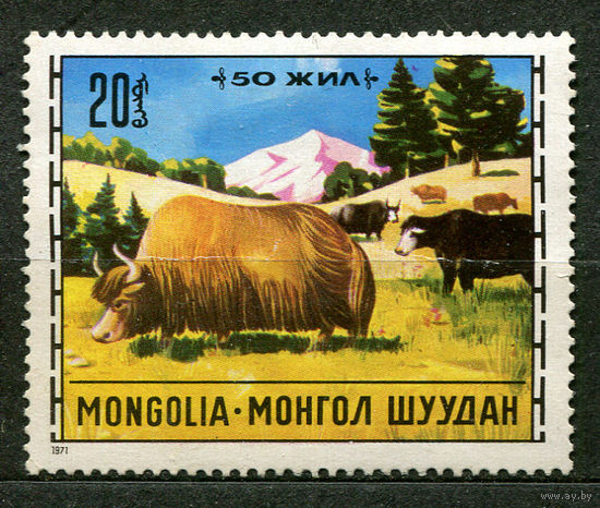 Животные. Яки. Монголия. 1971. Чистая