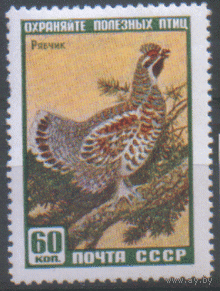 Заг. 2244. 1959. Рябчик. ЧиСт.