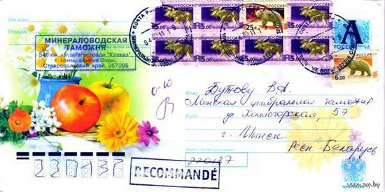 Россия 2008. Конверт, прошедший почту "Натюрморт. Яблоки"
