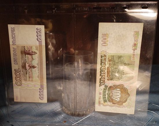 Лист-обложка OPTIMA 2C для банкнот бон 2 ячейки 180х120 мм Оптима Leuchtturm Германия (317839) Б\У