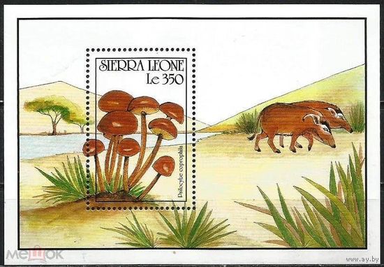 Сьерра-Леоне Грибы Шампиньоновые Навозный демон Кабанчики 1990 MNH