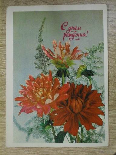 ПОДПИСАННАЯ ОТКРЫТКА СССР. "С ДНЕМ РОЖДЕНИЯ!" ХУД. И. ДЕРГИЛЕВВ. 1981 ГОД.