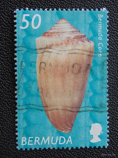 Бермуды 2002 г. Ракушка.
