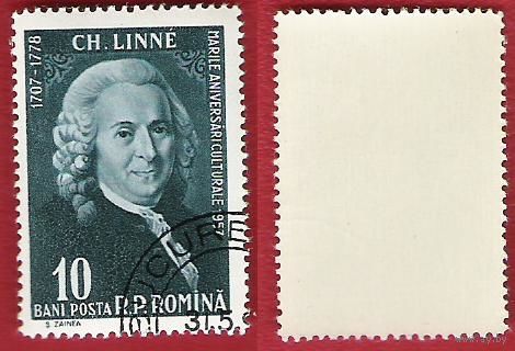 Румыния 1958 Карл Линней