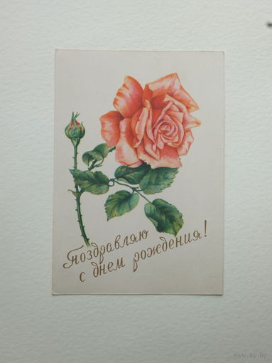 Роза с днем рождения 1959 10х15 см