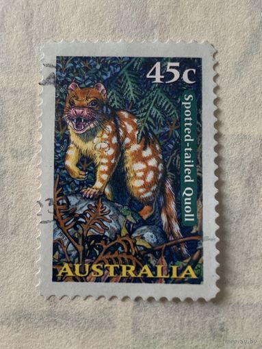 Австралия 1997. Фауна. Spotted-tailed Quoll