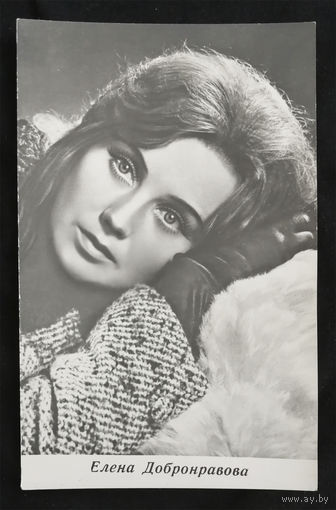 Елена Добронравова. Актеры театра и кино. Артисты эстрады. 1966 год. Чистая #0043-U1P22