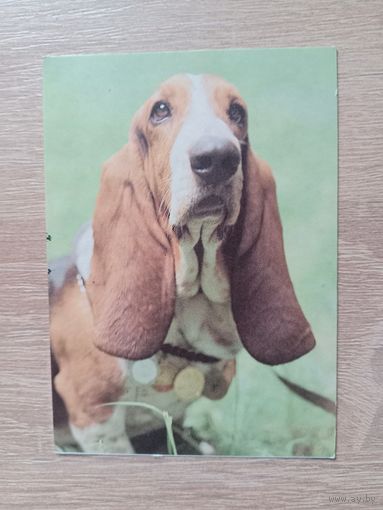 Календарик 1993