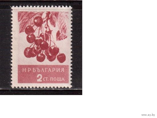 Болгария-1956,(Мих.990)  *  ,  Флора, Фрукты