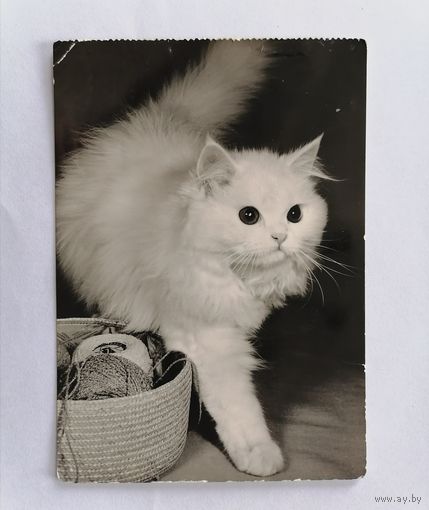 Открытка из СССР, 1976г, подписанная.