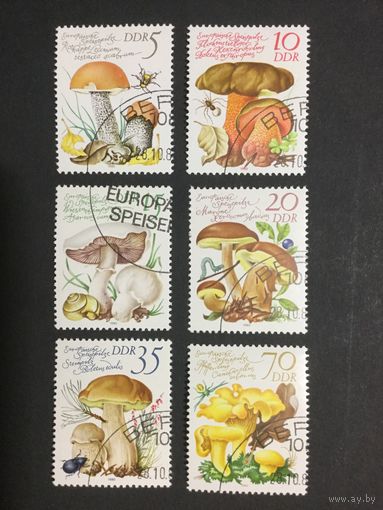 Грибы,ГДР,1980,серия 6 марок