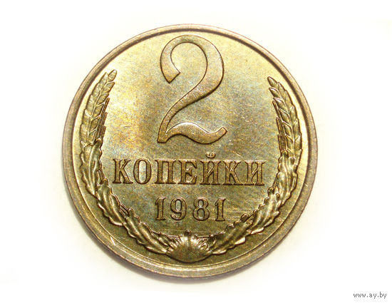 2 копейки 1981 UNC Супер! #C
