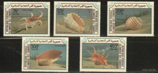 Коморы-1985(Мих.746-750),  **,    Морская Фауна ,Раковины, (полная серия)