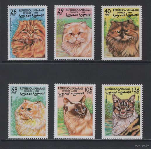 Фауна Кошки Сахара /Sahara 1999** Домашние животные