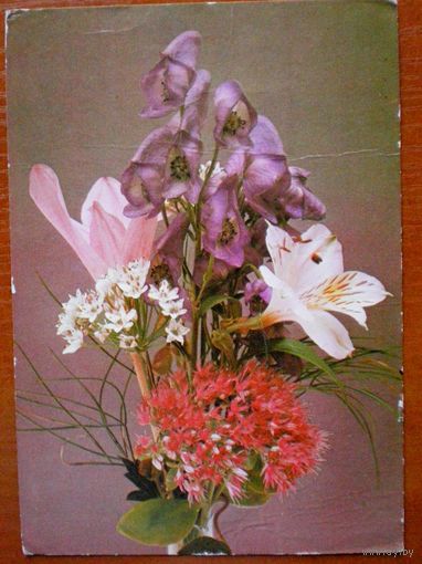 Fot. A.Pisarski  "цветы"   подписана,1974 г.   т.30.000 (Польша)