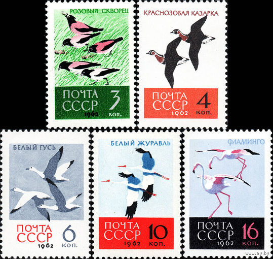 Птицы СССР 1962 год (2790-2794) серия из 5 марок