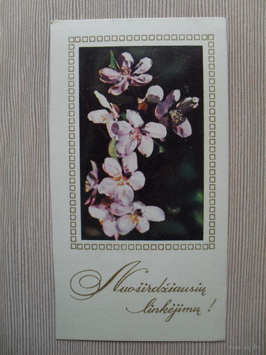 ПОДПИСАННАЯ МИНИ ОТКРЫТКА . СССР. ПРИБАЛТИКА. С НАИЛУЧШИМИ ПОЖЕЛАНИЯМИ.