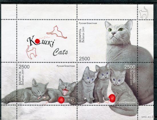 Беларусь 2009. Кошки. Блок