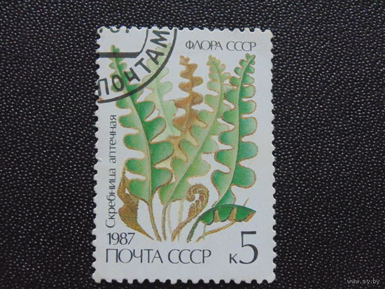 СССР 1987 г.