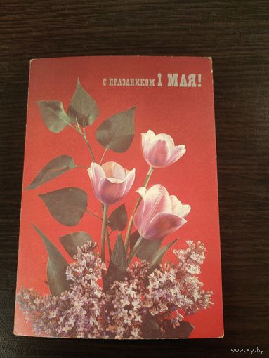 Открытка 1 мая