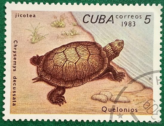 Куба 1983. Кубинская ромбическая черепаха