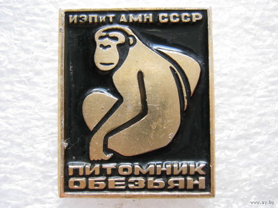 Питомник обезьян.