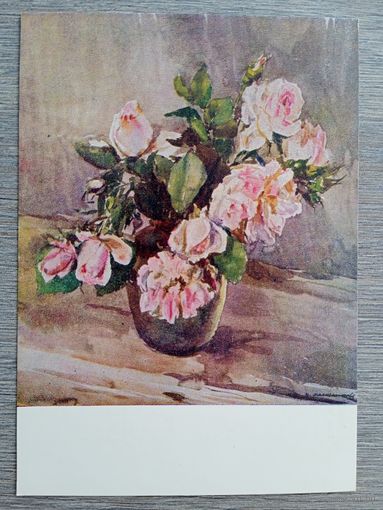 1959. Масленникова. Розы