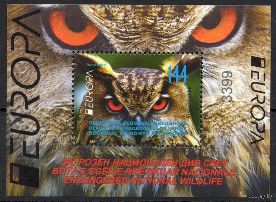 Македония 2021. EUROPA. Фауна птицы филин блок  (952)