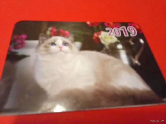 Календарик 2019г.