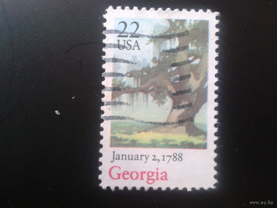 США 1988 дерево