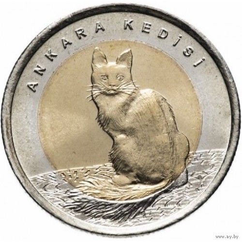 Турция 1 лира, 2015 Турецкая ангора UNC