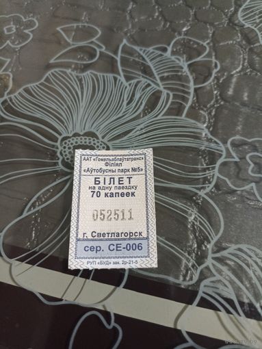Билет ( Светлогорск - серия СЕ)2021 год
