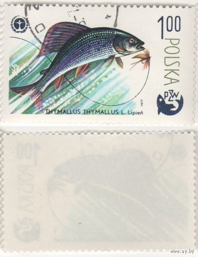 Польша 1979.04.26 (Mi)PL2618 марка из сер.100-летие спортивного рыболовства 1,00zl Серый дрозд (Thymallus thymallus) (г) (a1-16 ТОРГ/ВАША ЦЕНА