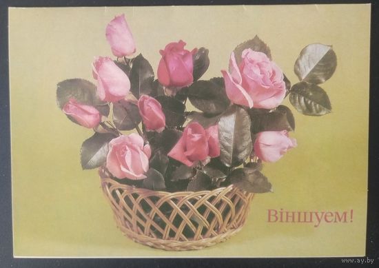 Беларусь 1992 открытка Двойная чистая. Вiншуем!.  зак.130400. фото  Круцко.