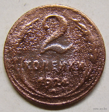2 копейки 1924
