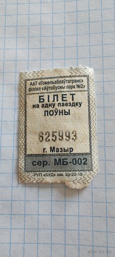 Талон на проезд г. Мозырь