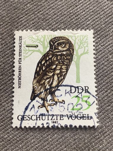 ГДР 1982. Фауна. Совы