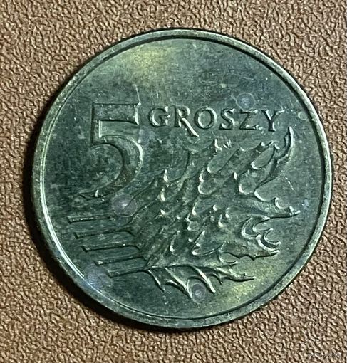 Монета 5 грошей. 1998 год, Польша. Дубовые листья.