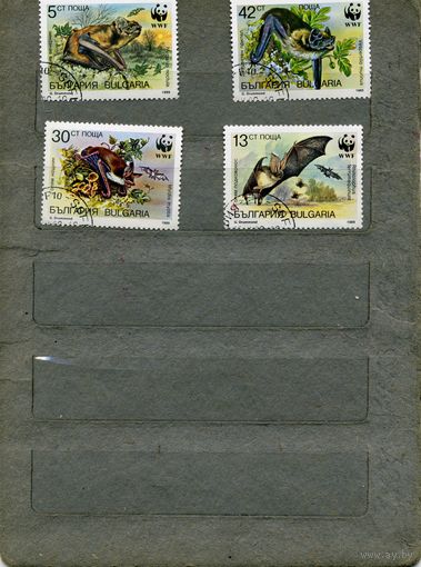 Болгария, 1989,  ФАУНА, ЛЕТУЧИЕ МЫШИ (РУКОКРЫЛЫЕ)   серия   4м
