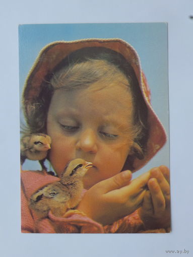 Рябко птенцы 1987 10х15   см