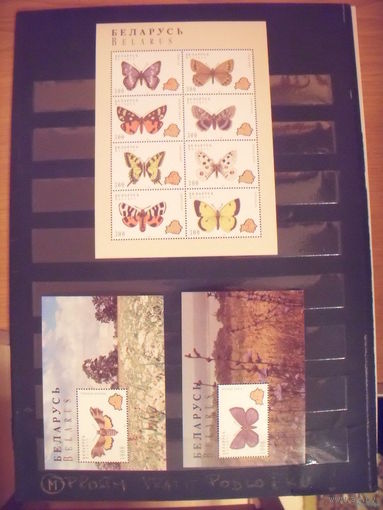1996 Беларусь бабочки фауна MNH**