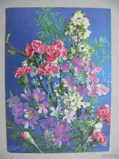 Костенко Г.(фото), Цветы; 1978, чистая.