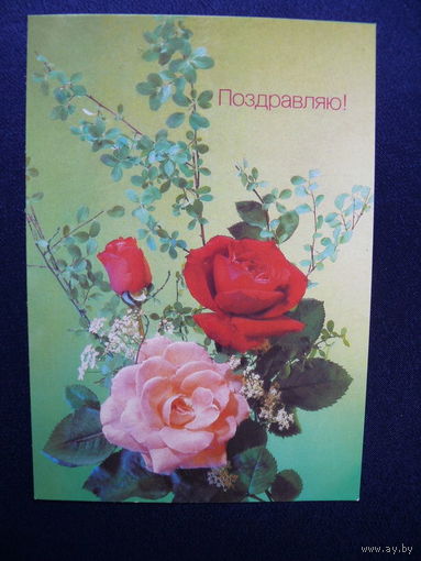Фото Дергилева И., Поздравляю! 1990, подписана.