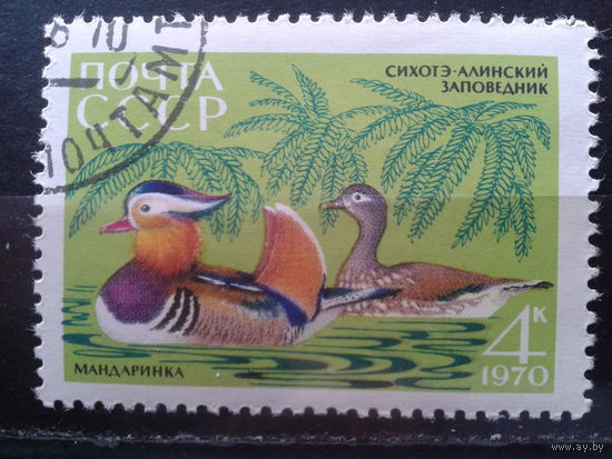 1970 Утка-мандаринка