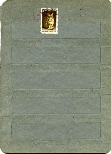 ИНДИЯ,  ФАУНА, ЛЕОПАРД ,1м